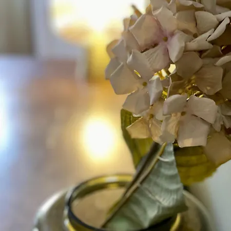 Zentrum Vor Der Tuer *