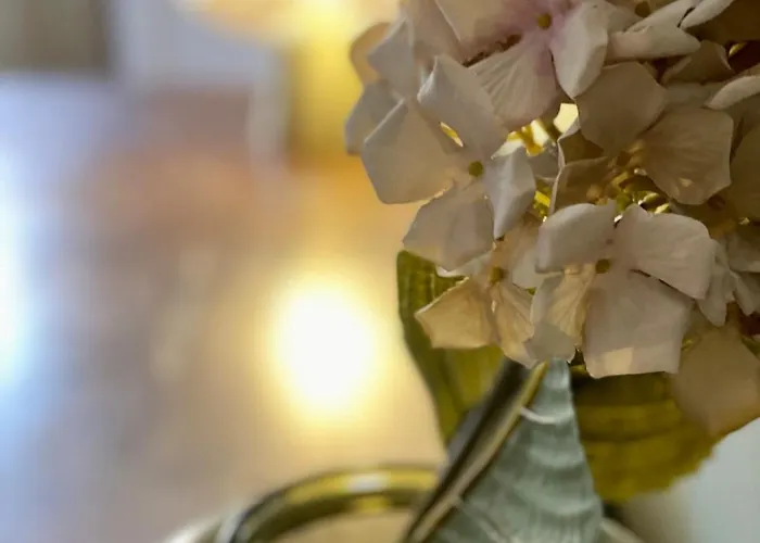 Zentrum Vor Der Tuer Appartement